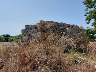 Basilica Pitturata